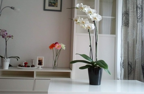 Centre Ville d'Ales Apartment | STUDIO ANY COMFORT IN THE HEART OF TOWN