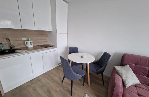 Palanga Apartment | Studio apartament with pool view