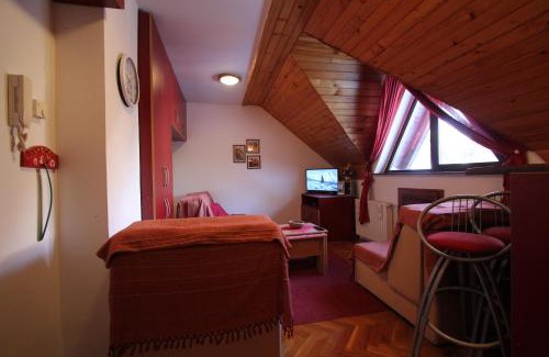 Zlatibor Apartment | Studio Apartman Aleksandar