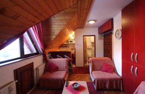 Zlatibor Apartment | Studio Apartman Aleksandar