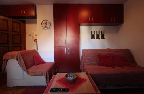 Zlatibor Apartment | Studio Apartman Aleksandar