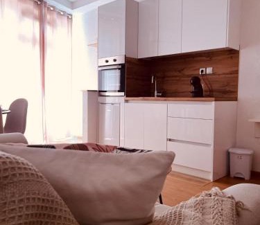 Canton 10 Apartment | Studio apartman Ana