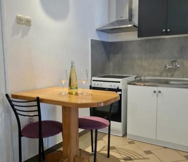 Karlovac Apartment | Studio Apartman Grgurić