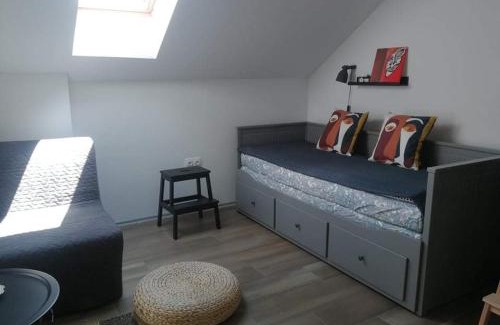 Dreznik Grad Apartment | Studio apartman HANA