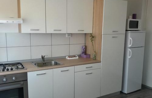 Daruvar Apartment | Studio apartman Toplica