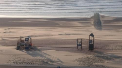 Raversijde Apartment | Studio apartment 'De Strandwandeling' with frontal sea view near Ostend