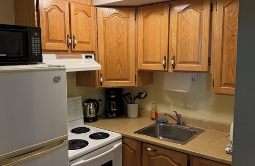 Waterford Valley Apartment | Studio Apartment Downtown St. John's, Midstream Manor Unit 1
