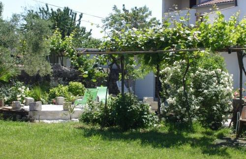 Funtana Apartment | Studio apartment in Funtana with terrace, air conditioning, WiFi, washing machine 4982-5