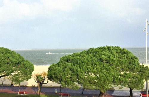 Arcachon Apartment | Studio Arcachon, 1 pièce, 3 personnes - FR-1-374-29