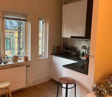 Majorstua Apartment | Studio at city center of Oslo