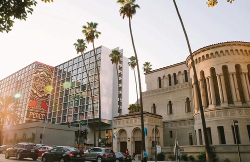 Wilshire Center Hotel | Studio at The LINE Hotel Los Angeles, Pets Are Allowed, Swimming Pool Onsite!