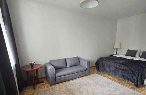 Savonlinna Apartment | Studio at Tottinkatu