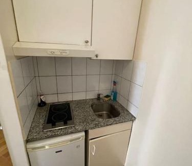 Pierres du Niton Apartment | Studio au cœur de Genève