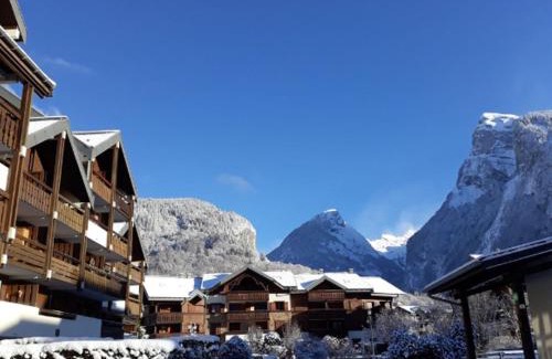Samoens Apartment | Studio avec Mezzanine au Centre-Village, 100m de Navette Ski, 4 Pers., Équipé et Confortable - FR-1-624-58