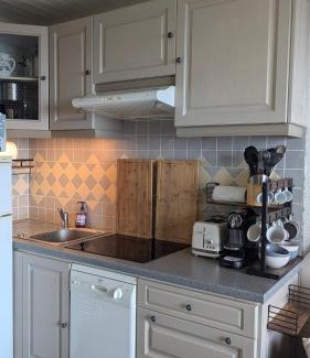 Arette Apartment | studio Batlou ménage inclus a la pierre st Martin pyrénée