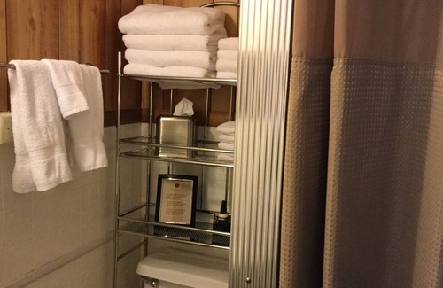Gallatin Gateway Cabin | Studio Cabin on the River With Kitchenette sleeps 2.
