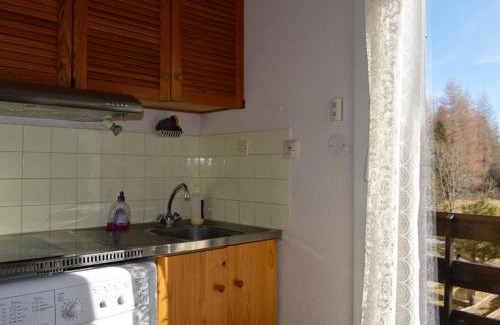 Pyrenees 2000 Apartment | Studio Cabine Cosy Proche des Pistes - Sud-Ouest, Équipé pour 3 Pers., Animaux Acceptés - FR-1-592-25