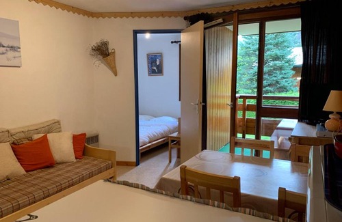 Morzine Apartment | Studio cabine près navette, balcon exposé sud - FR-1-679-6