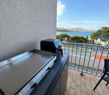 Banyuls-sur-Mer Apartment | Studio cabine vue mer