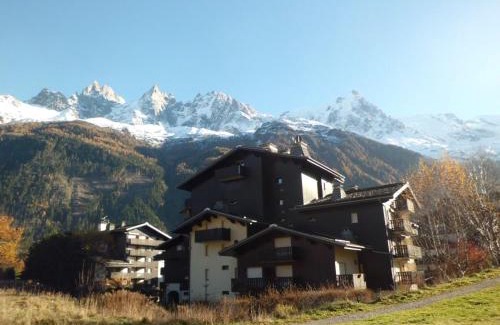 Chamonix City Centre Apartment | Studio Chamonix, 4 Pers, Proche Pistes, Balcon, Parking, Animaux Admis - FR-1-517-32