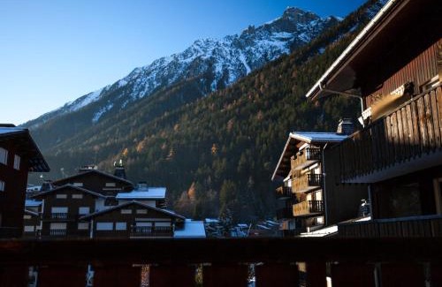 Chamonix City Centre Apartment | Studio Chamonix, 4 Pers, Proche Pistes, Balcon, Parking, Animaux Admis - FR-1-517-32