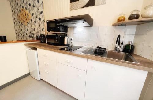Cognac Apartment | Studio Charmant hyper centre Cognac