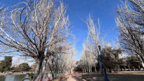 Mendoza Apartment | Studio Conexión Mendoza moderno céntrico Wifi alta velocidad y a pasos del Parque Gral San Martín y Aristides Villanueva