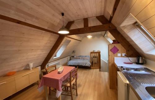 La Roche-Posay Apartment | Studio Cosy à La Roche-Posay, à 70m des Thermes, WIFI, Animaux Acceptés, Idéal pour 2 Personnes - FR-1-541-55