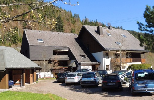 Menzenschwand-Hinterdorf Apartment | Studio B3 for 2 people