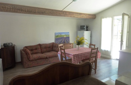 Venterol Apartment | Studio flat and swimming pool, surrounded by vines in the heart of Provence