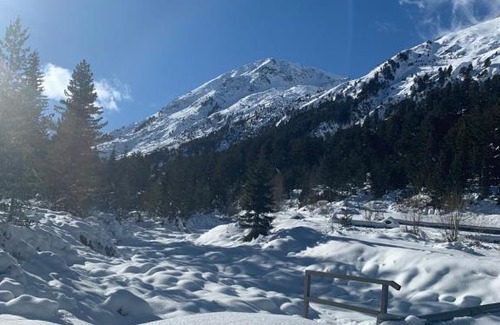 Shiligarnika Bed & Breakfast | Studio flat Bansko
