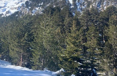 Shiligarnika Bed & Breakfast | Studio flat Bansko