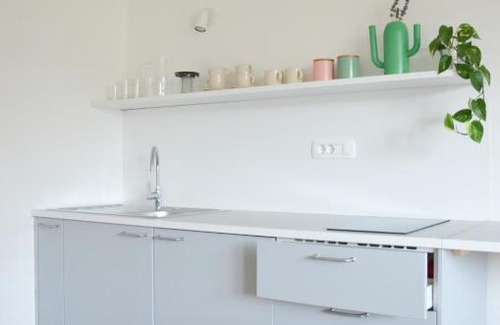 Tolmin Apartment | STUDIO GREENHOUSE