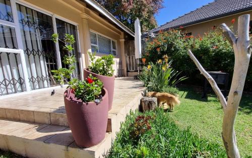 Greater Johannesburg Metropolitan Area Apartment | Studio in Bryanston