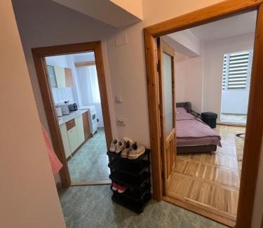 Nehoiu Apartment | Studio in the city center