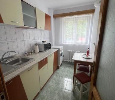 Nehoiu Apartment | Studio in the city center