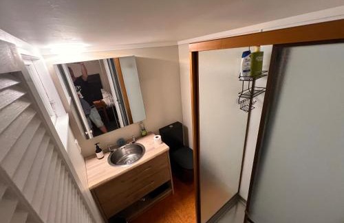 Remuera House | Studio is 2nd door past carport