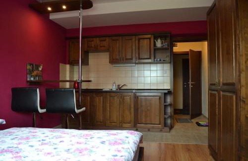 Tatranska Lomnica Apartment | Studio Javorinka, Tatranska Lomnica