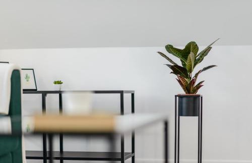 Ilawa Apartment | Studio Kopernika