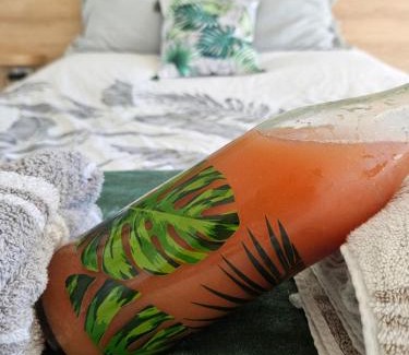 Pointe de la verdure Apartment | Studio Les pieds dans l'eau Résidence Archipel et Savanne
