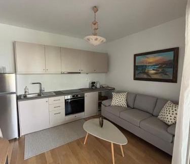 Anatolikos Sinikismos Apartment | Studio Manolia on the beach