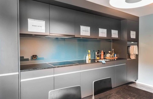 St. Gallen Apartment | Studio modern red (3) with shower (plus kitchen for shared use)