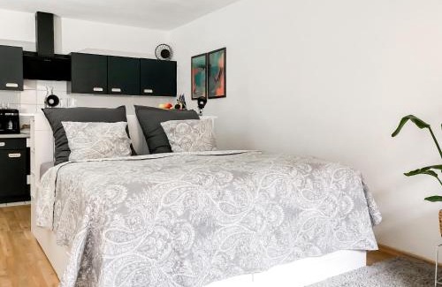 Wuerzburg Apartment | Studio near Altstadt/w Workspace, Feng-Shui & Art