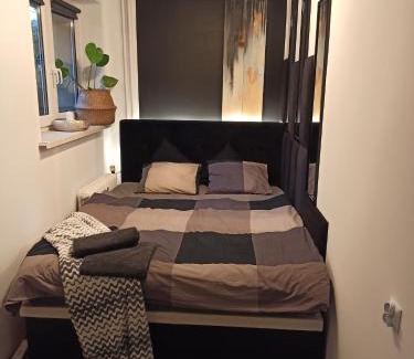 Chorzow Apartment | Studio Park Śląski Katowice/Chorzów