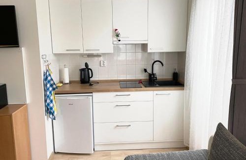 Rokytnice nad Jizerou Apartment | Studio Paula