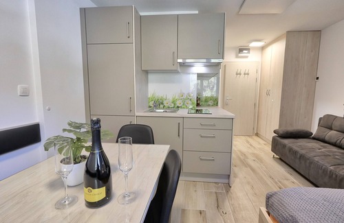 Kranjska Gora Apartment | Studio Pika