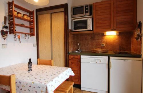 Les Carroz-d'Araches Apartment | Studio pour 4 personnes avec balcon et équipements, au pied des pistes et à 550m du village - FR-1-572-157