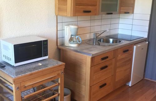 Chamonix City Centre Apartment | Studio rénové à Chamonix avec balcon, animaux acceptés, parking - FR-1-517-54
