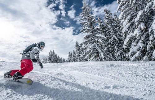 La Rosiere Apartment | Studio rénové 2* pour 4 pers., skis aux pieds, balcon exposé sud-ouest, proche commerces et garderie - FR-1-398-528