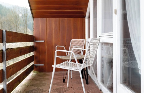 Wolfach Apartment | Studio Room 'Courtyard View Without Kitchen' with Balcony